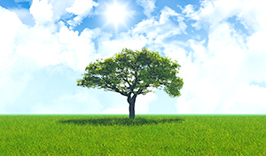 環境への取り組み